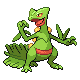 Sceptile example answer for Pokémon Sprite Guessing Game